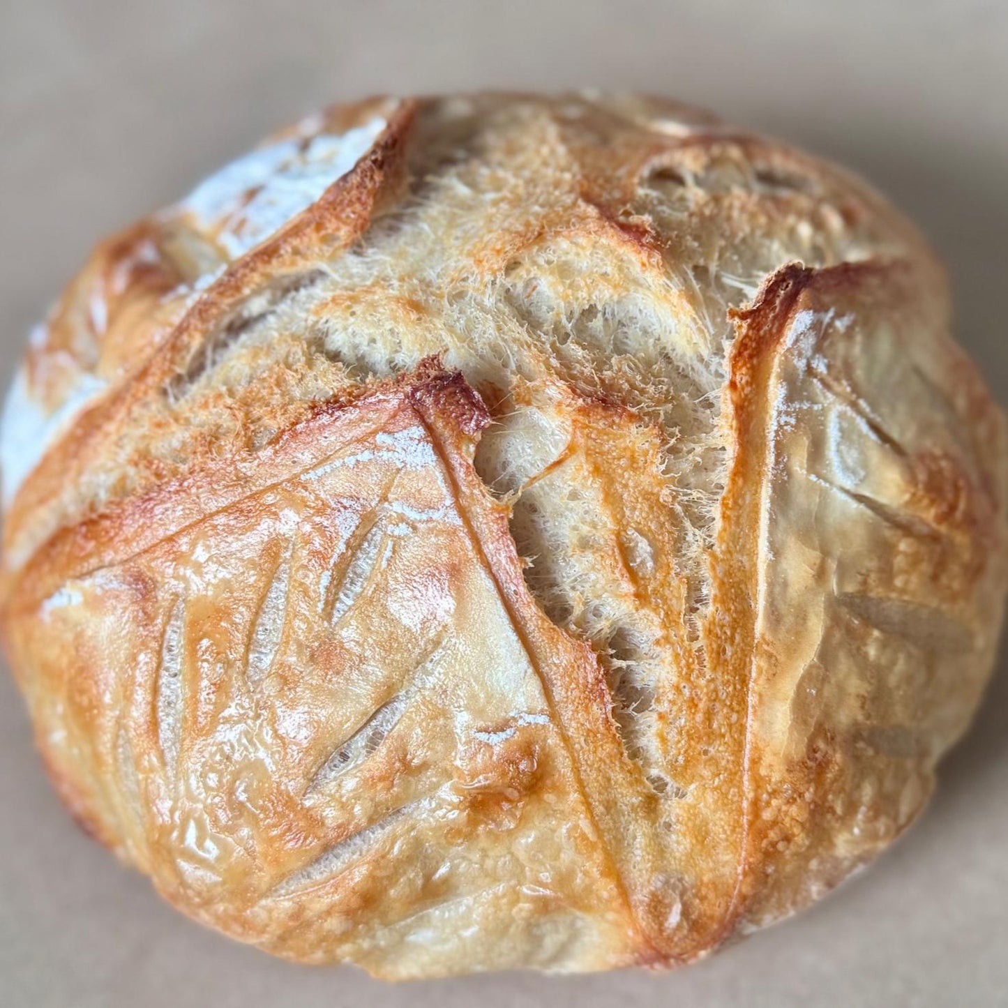 Classic Sourdough